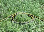 Hose_Performance_Plus_app_10_CI15_96-dpi-